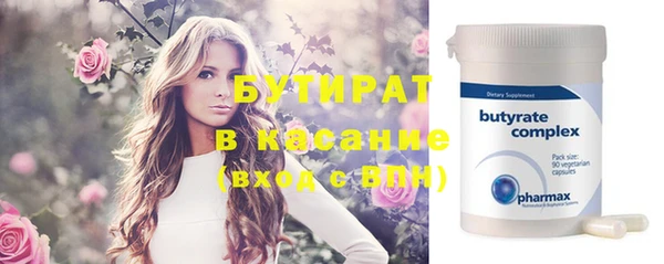сатива Бородино