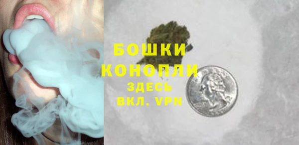 сатива Бородино