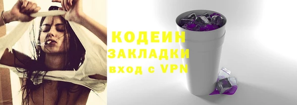 сатива Бородино
