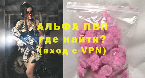сатива Бородино
