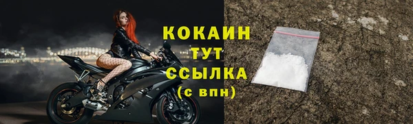 сатива Бородино