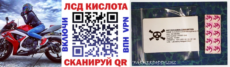 где продают   Каргат  Наркотические марки 1,5мг 