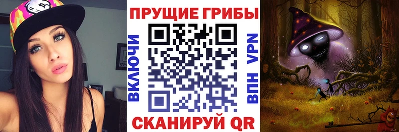 Галлюциногенные грибы Psilocybe  купить   Каргат 