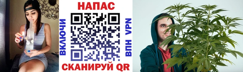 Каннабис AK-47  Каргат 